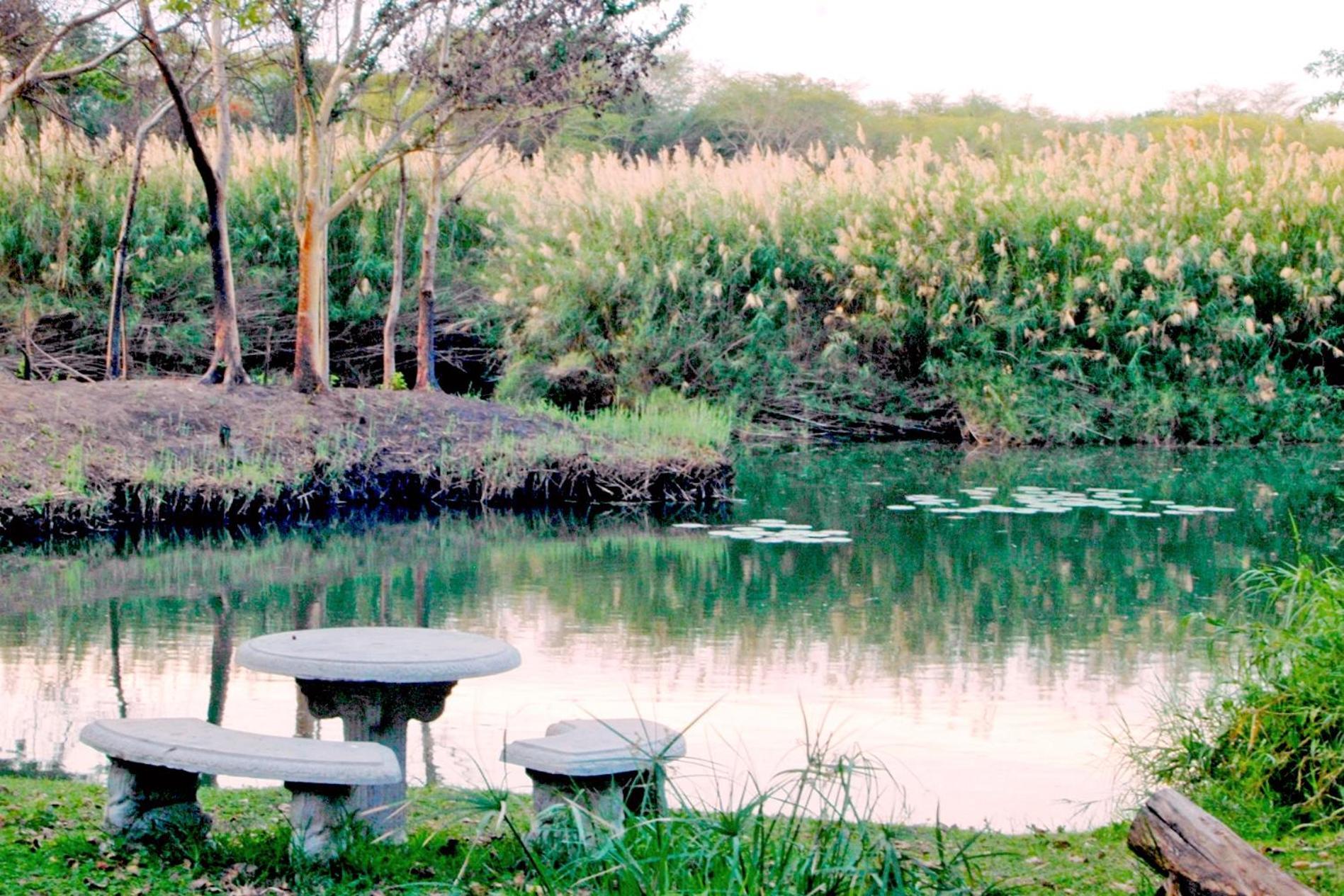קומאטיפורט Komati River Chalets מראה חיצוני תמונה